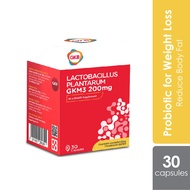 GKB L. Plantarum GKM3 30s | Probiotic For Body Fat Reduction