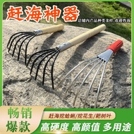 Ready Stock Bold Small Iron Rake Small Clam Rake Children Digging Clam Rake Sea Rake Tool Shovel Sea