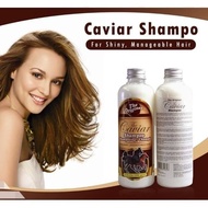 BINTANGKIA THE CAVIAR SHAMPOO Original | 100% original HAIR LENGTH SHAMPOO