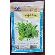 PHANTIRA-Thailand kangkong Seed 20g.เมล็ดผักบุ้ง