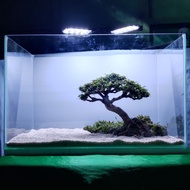 Bonsai_tree_for_aquarium