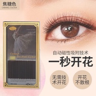 Stars Colors 12 Rows Caramel Macchiato Extension Lashes Extension Eyelash C9mm,10mm,11mm&12mm(XEA-02