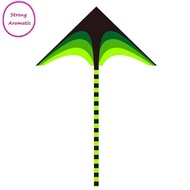 STRO kites tails with handle outdoor toys for kids kites nylon ripstop albatross kite MY