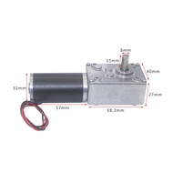 24V 5840-31zy self-locking robot drive window opener DC Worm gear motor