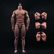 1/6 Scale Male Body,Muscular Flexibl Nude Figure Body Fit 12" Hot Toys Male Head Sculpt Model Collec