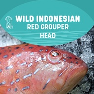 Wild Sustainable Red Grouper Head (About 1kg)