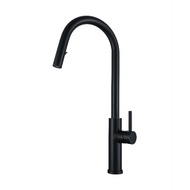 kichen sink tap kitchen faucet kitchen tap local warranty