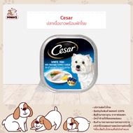 CESAR DOG FOOD WET ซีซาร์ อาหารสุนัขชนิดเปียก แบบถาด 100กรัม X 6ถาด (MNIKS)