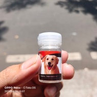 Proline dog - obat kutu anjing caplax anjing telur kutu larva ampuh
