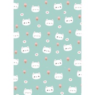 Kindle Inserts CATS 6