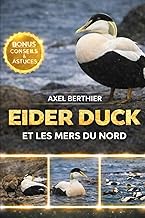 Eider duck et les mers du Nord