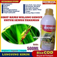 BIOWASIL 500ML Pestisida Organik Obat Hama Tanaman Padi Seperti Walang Sangit (Kungkang) Tungro pada Padi - Obat Hama Padi Walang Sangit - Obat Pembasmi Walang Sangit di Padi - Obat Semprot Hama Padi Kungkang