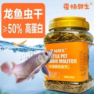 Mealworm Dried Arowana Special Snacks Fish Food Golden Arowana Silver Arowana Feed Floating Fish Foo