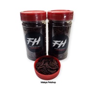 Maggot Feedhunt Super Premium Red BSF Maggot by Gogochanna (Maggot For Channa Maru, Auranti, Limbata)(Isian 50 gram)_