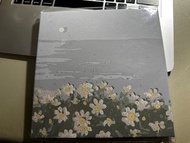 DIY 數字油畫套裝