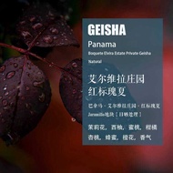 Panama Elvira Manor Red Label Geisha Geisha Sun-dried Coffee Beans Hand-brewed Single Origin Coffee
