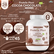 โปรตีนแพลนท์ สูตร 3 PROTEIN PLANT (รสโกโก้ ช็อกโกแลต) ขนาด 2.27 kg./กระปุก (5 ปอนด์ 5LBS) ทานได้ 45