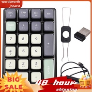 Mechanical Numpad Keyboard 21 Key RGB 3 BT/2.4GHz/Type C Wired Hot Swappable Transparent Keycaps Key