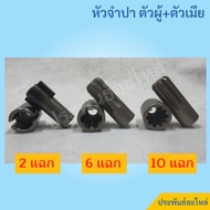 2-Point Champa Head 6-Point 10-Point Male + Female