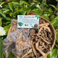 Dried sand root (20-day course)