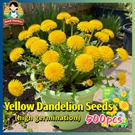 500pcs/pack Yellow Dandelion Seeds for Planting Flowers Edible Dandelion Flower Seeds Bonsai Potted 