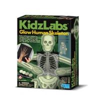 4M Kidzlabs GLOW HUMAN SKELETON