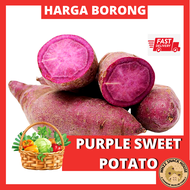 [ +/- 1 KG ] Fresh Purple Sweet Potato Organic Cameron Highland Ubi Keledek Ungu Groceries Vegetable