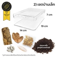 เซตเลี้ยงไอโซพอด isopod food ใบไม้ moss มอส ไอโซพอด ไอโซพอต กระดองหมึก กล่องเลี้ยงไอโซพอด - being.is