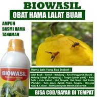 (TERLARIS) OBAT SEMPROT LALAT BUAH BIOWASIL 500 ML - Pestisida Cair Atasi Hama Ulat Buah Jeruk Mangga Cabe Tomat dan Semua Jenis Buah dan Sayur Pupuk Pestisida Insektisida Semprot Lalat Buah Paling Bagus dan Manjur 100% Organik Original Paling Laris