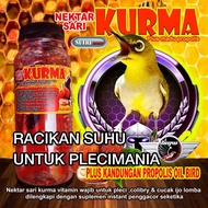 Pleci KOLIBRI Date SARI Supplement/Bird Supplement/Bird vitamin/Bird Booster/