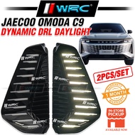 Jaecoo Omoda C9 Dynamic DRL Daylight ( 1 Function )
