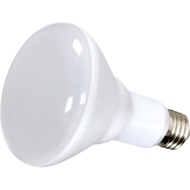 Mentol Lampu Sederhana Satco S9022 dengan Kemasan Putih, 5.13 inci