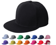 現貨 20色任選 純色 硬挺 百搭 素色 棒球帽 平沿帽 潮帽