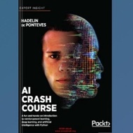 AI Crash Course Book
