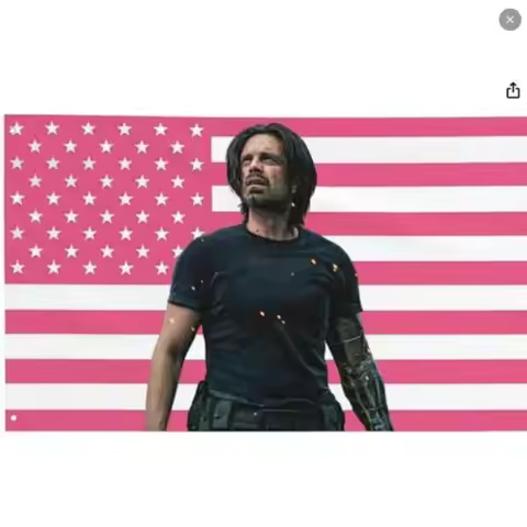 Sebastian Stan Flag Bucky Barnes Pink America Flag I Love USA tapestry Flags Funny Gift Wall Decor B