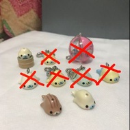 San-x mamegoma 小海豹 小飾物
