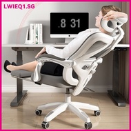 Computer Chair 2025 Spot Reclining Lumbar Adjustable Ergonomic Chair Home Gray With Footrest Office 