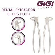 Lower Root Tooth Extracting Forceps FIG 33 Adult Forceps For Professional Dentists Stainless CE