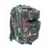 MOLLE 3P 背包 叢林迷彩( 槍盒 槍箱 槍袋 槍包 旅遊 登山 烤肉 露營 槍包 書包 生存遊戲 軍事風 迷彩