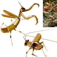 Mini animal model mantis cicada, 3d bamboo wooden fake insect model, small animal model