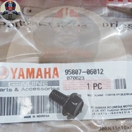 Rear fender bolts, horn bracket bolts, stay bolts, license plate rx king original 95807-06012