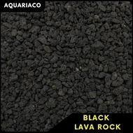 [AquariaCo] Black Lava Rock Channa (Aquarium Filter Media, Red Lava Stone, Batu Channa, 火山石, Succulent Plant)
