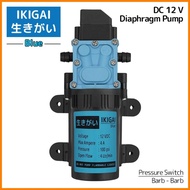 Diaphragm Pump Ikigai Blue , DC 12 V, 48 Watt, 100 Psi, 4 L/min,