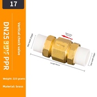 Check Valve 1 Inch DN15 20 25