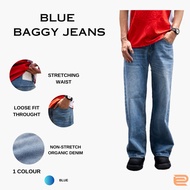 DC CLOTHING BAGGY JEANS