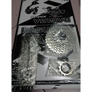 Ragusa XM8 Cogs/Sprocket Cassette and Chain 8 Speed