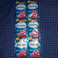 12 PCS SUNRISE FRESH 22ml Lowny SUNRISE