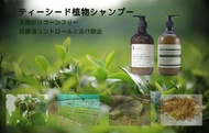 (植物無添加洗護組合優惠)日本🇯🇵Vantachi 茶籽植物精華洗頭水530ml ＋ 透明質酸高效護髮素200ml (高效柔順護理））