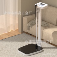 Height Weight Height Scale 200kg Precise Household School Scale Medical Equipment Electronic Scale S