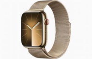 Apple - Apple Watch Series 9 金色不鏽鋼 GPS + 流動網絡 45mm 綱織手環錶帶 (金色)